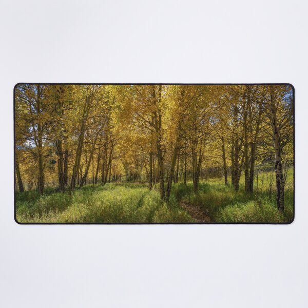 Item preview, Through The Aspens designed and sold by Brian Kerls Photography.