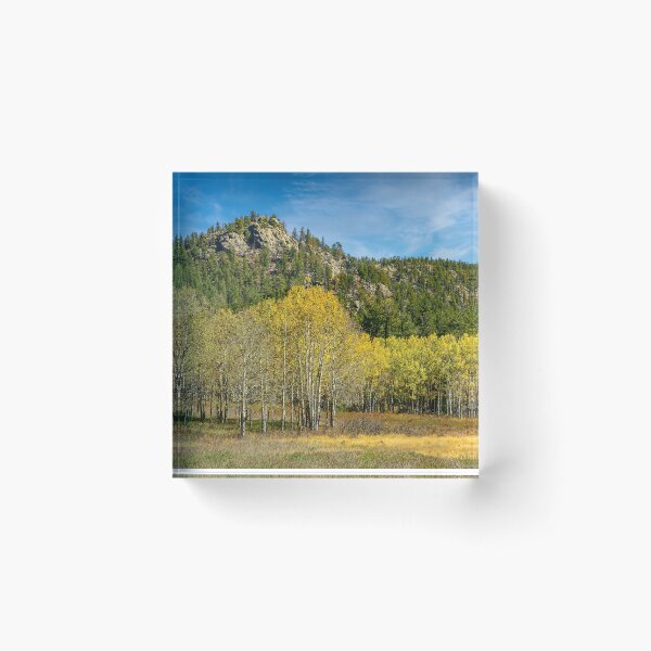 Item preview, Frazer Meadow Golden Aspens designed and sold by Brian Kerls Photography.