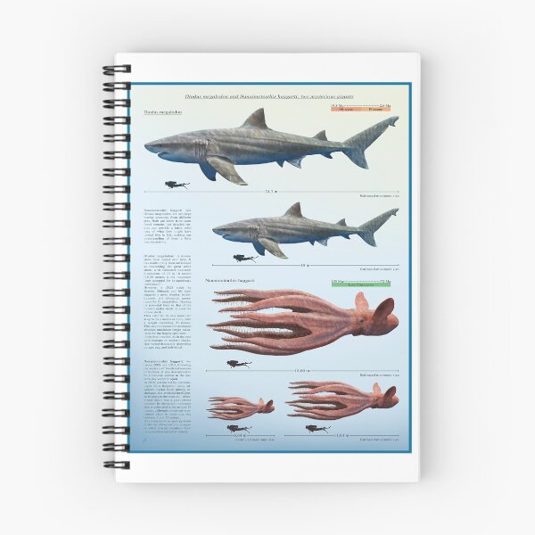 Item preview, Otodus megalodon and Nanaimoteuthis haggarti designed and sold by paleoarteymas.