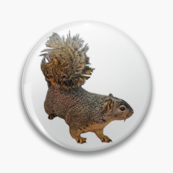Item preview, Zuzu Squirrel  designed and sold by 4 Rescued Exotics.