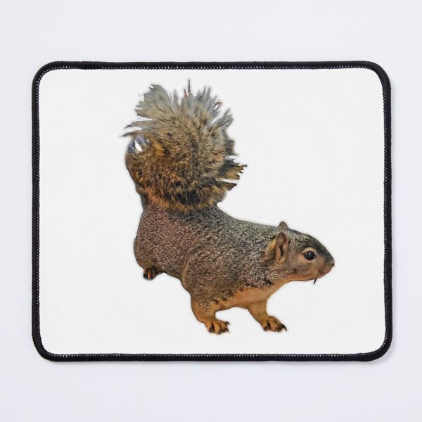 Item preview, Zuzu Squirrel  designed and sold by 4 Rescued Exotics.