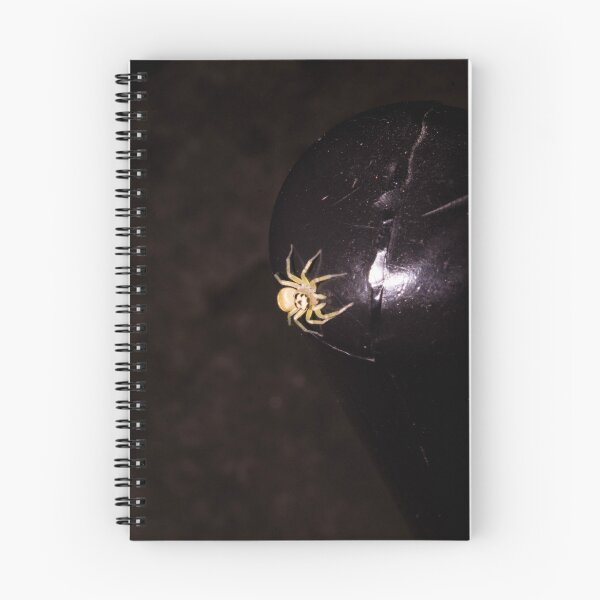 Item preview, Kidney Garden Spider designed and sold by ROSE ANN BANILAR.