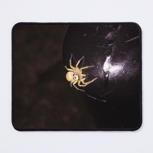 Item preview, Kidney Garden Spider designed and sold by ROSE ANN BANILAR.
