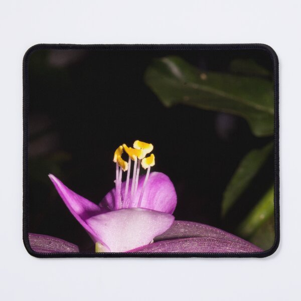 Item preview, Purple Heart or Purple Queen designed and sold by ROSE ANN BANILAR.
