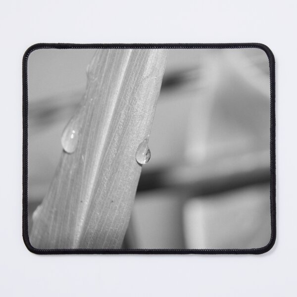 Item preview, B&W - Raindrops on a Leaf designed and sold by ROSE ANN BANILAR.