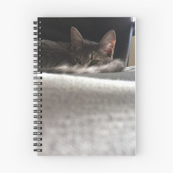 Item preview, Mystery Kitty designed and sold by Malkin101.