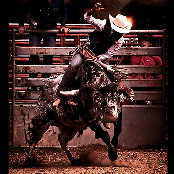 Artwork thumbnail, Retro Rodeo Bull Rider Country Art by KomalMittal
