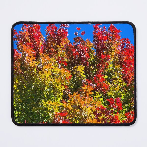 Item preview, Colorful Maple designed and sold by bjtomiko.