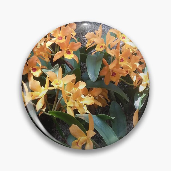 Item preview, Orchids (Guarianthe aurantiaca) designed and sold by Ben Waggoner.