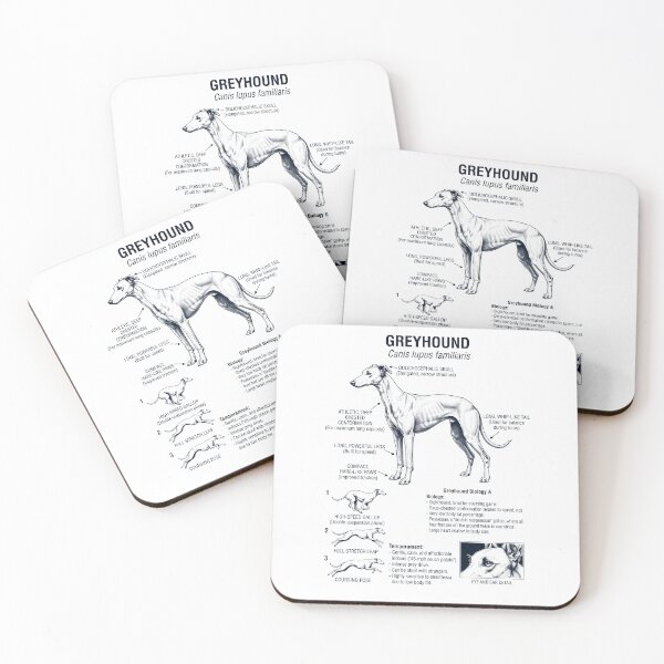 Item preview, Greyhound Scientific Anatomy Biology Dog Lover designed and sold by dian-rody-crest.