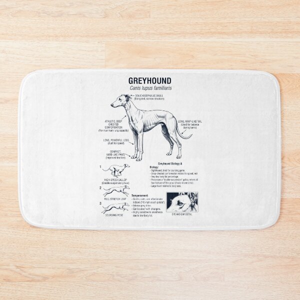 Item preview, Greyhound Scientific Anatomy Biology Dog Lover designed and sold by dian-rody-crest.