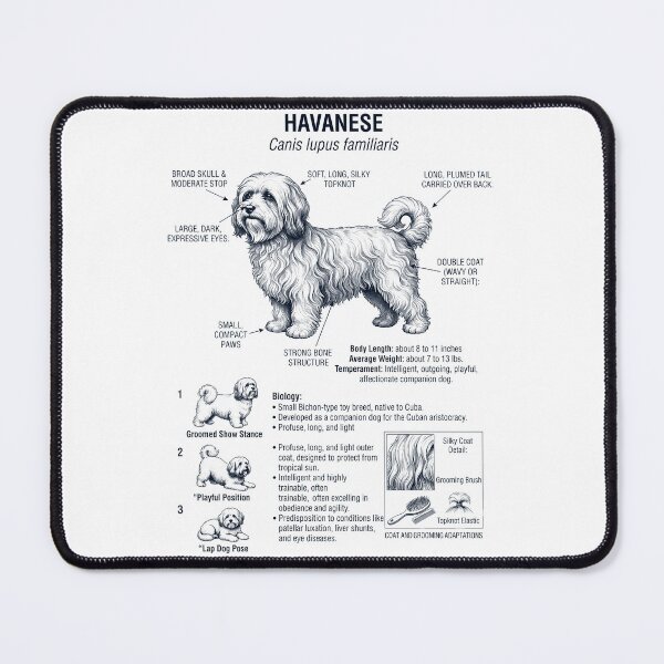 Item preview, Havanese Scientific Anatomy Biology Dog Lover designed and sold by dian-rody-crest.