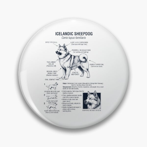 Item preview, Icelandic Sheepdog Scientific Anatomy Biology Dog Lover designed and sold by dian-rody-crest.