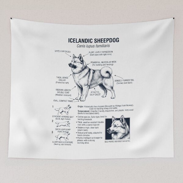 Item preview, Icelandic Sheepdog Scientific Anatomy Biology Dog Lover designed and sold by dian-rody-crest.