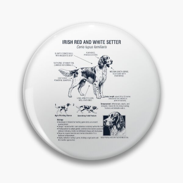 Item preview, Irish Red And White Setter Scientific Anatomy Biology Dog Lover designed and sold by dian-rody-crest.