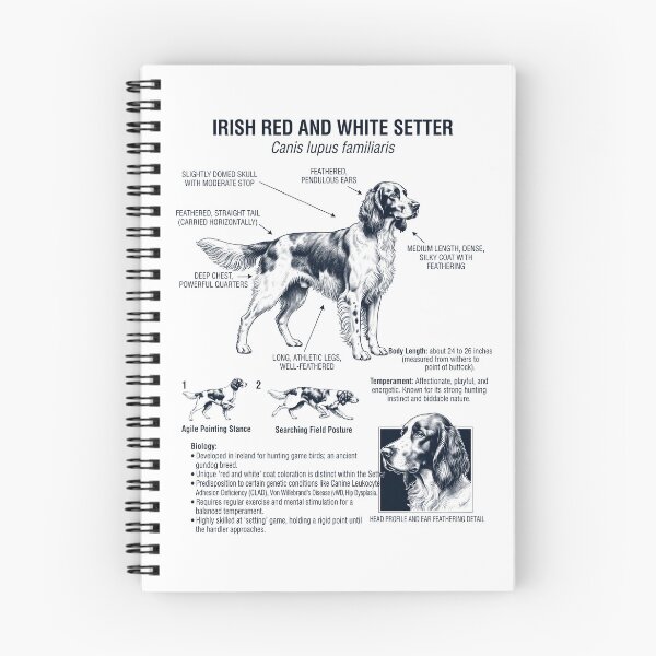 Item preview, Irish Red And White Setter Scientific Anatomy Biology Dog Lover designed and sold by dian-rody-crest.
