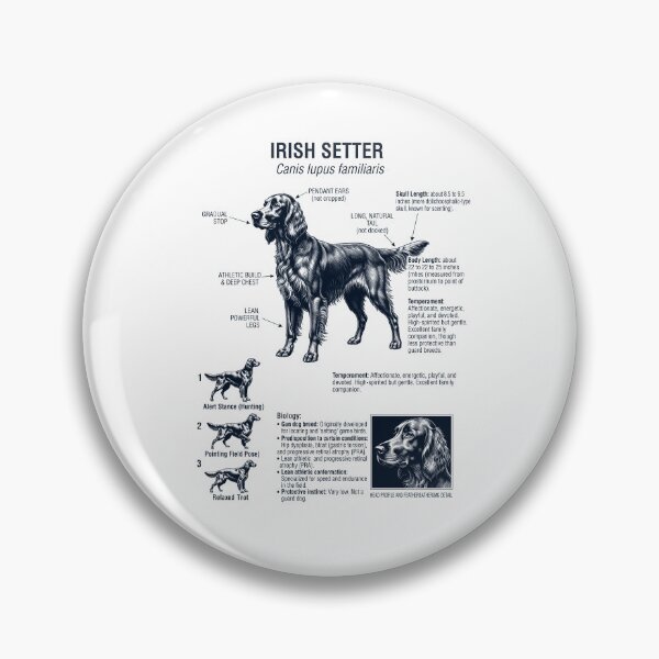 Artikelvorschau, Irischer Setter – Wissenschaftliche Anatomie, Biologie, Hundeliebhaber entworfen und verkauft von dian-rody-crest.