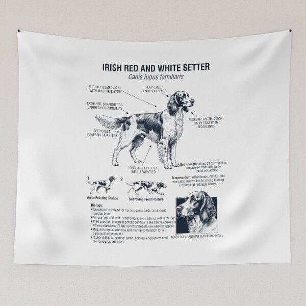 Item preview, Irish Red And White Setter Scientific Anatomy Biology Dog Lover designed and sold by dian-rody-crest.