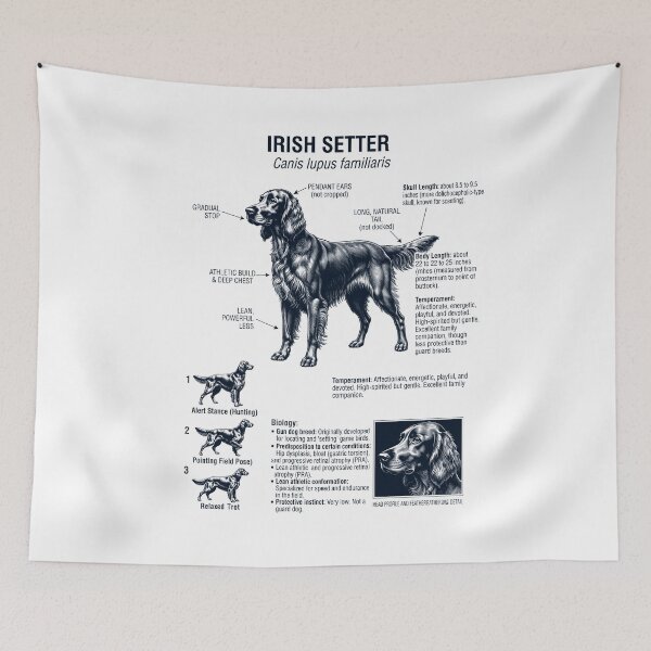 Item preview, Irish Setter Scientific Anatomy Biology Dog Lover designed and sold by dian-rody-crest.