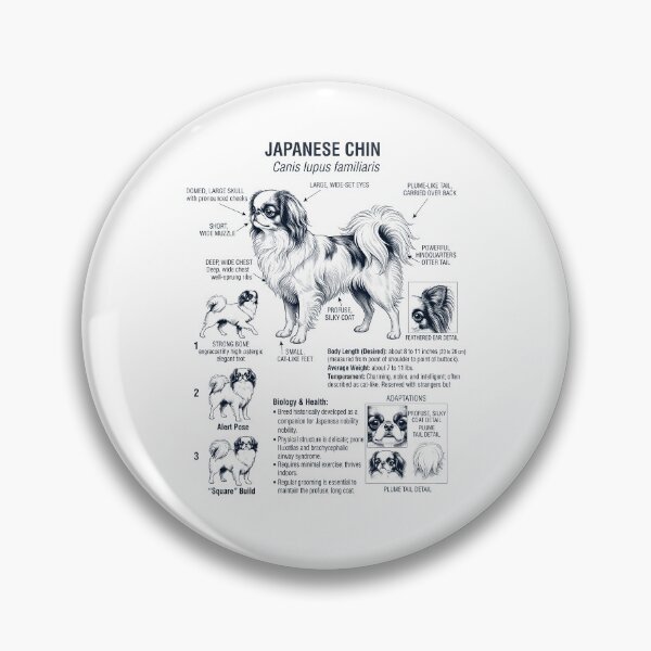 Item preview, Japanese Chin Scientific Anatomy Biology Dog Lover designed and sold by dian-rody-crest.