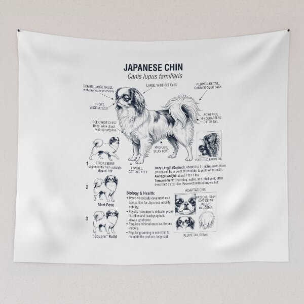 Item preview, Japanese Chin Scientific Anatomy Biology Dog Lover designed and sold by dian-rody-crest.