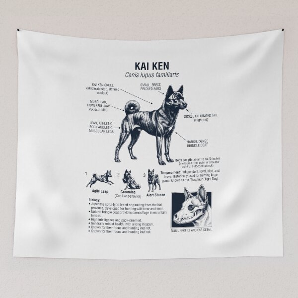 Aperçu de l'œuvre Kai Ken Anatomie scientifique Biologie Amoureux des chiens créée et vendue par dian-rody-crest.