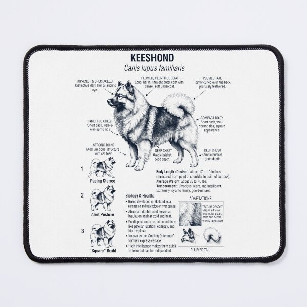 Item preview, Keeshond Scientific Anatomy Biology Dog Lover designed and sold by dian-rody-crest.