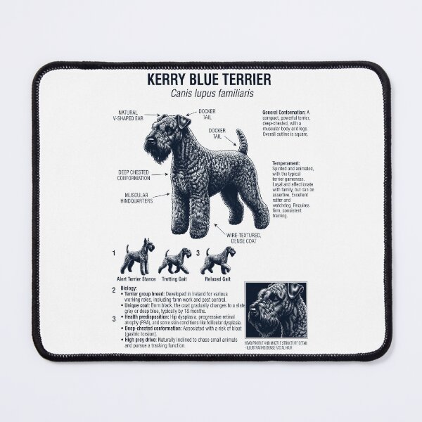 Item preview, Kerry Blue Terrier Anatomía Científica Biología Amante de los Perros designed and sold by dian-rody-crest.