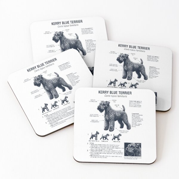 Aperçu de l'œuvre Kerry Blue Terrier Anatomie scientifique Biologie Amoureux des chiens créée et vendue par dian-rody-crest.