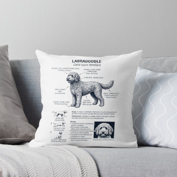 Aperçu de l'œuvre Anatomie scientifique et biologie du Labradoodle, amoureux des chiens créée et vendue par dian-rody-crest.