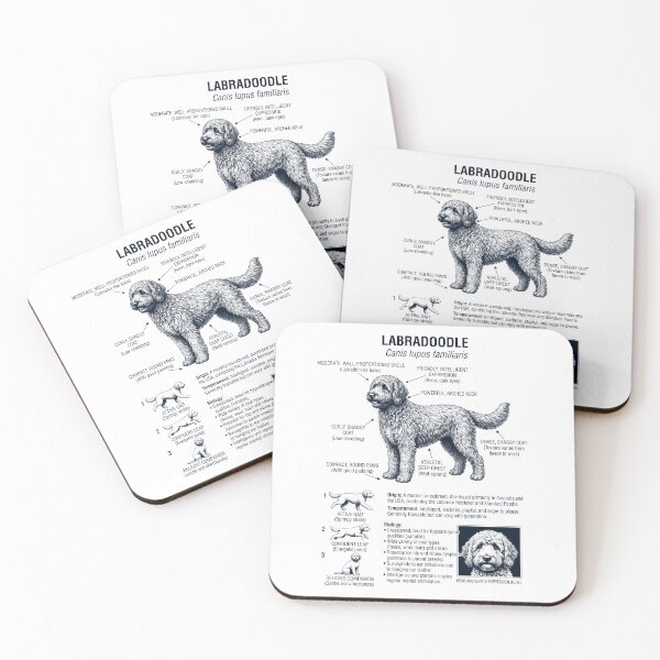 Item preview, Labradoodle Scientific Anatomy Biology Dog Lover designed and sold by dian-rody-crest.