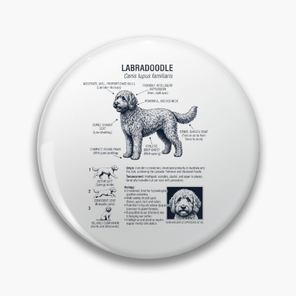 Item preview, Labradoodle Anatomía Científica Biología Amante de los Perros designed and sold by dian-rody-crest.