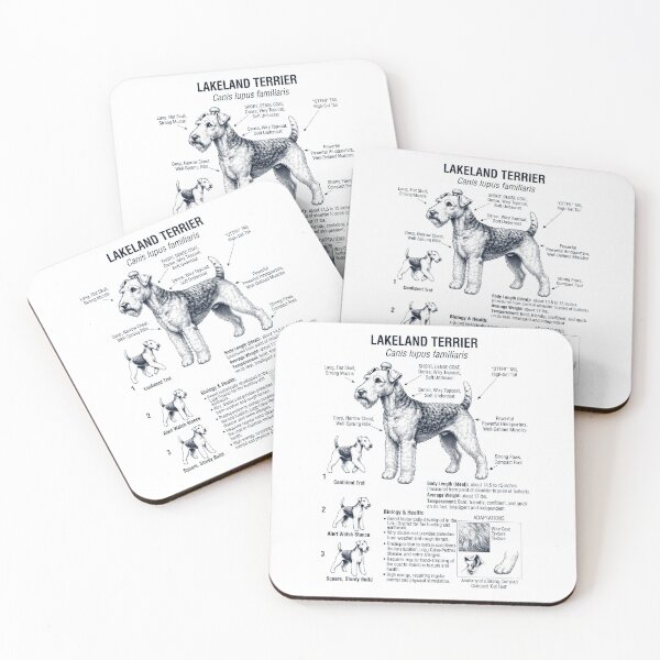 Item preview, Lakeland Terrier Scientific Anatomy Biology Dog Lover designed and sold by dian-rody-crest.