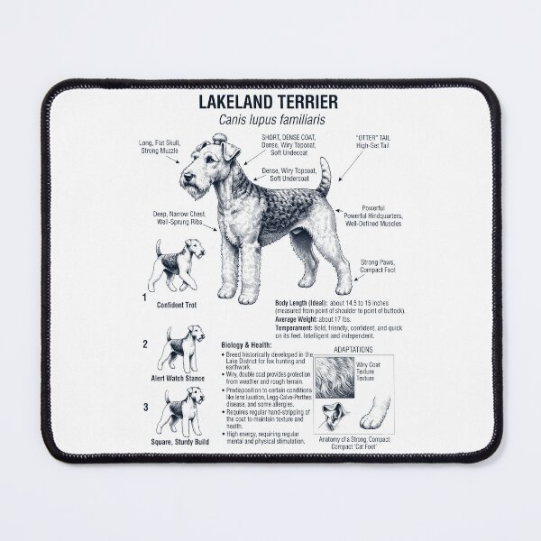 Item preview, Lakeland Terrier Scientific Anatomy Biology Dog Lover designed and sold by dian-rody-crest.
