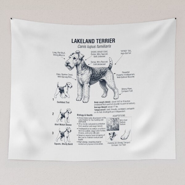Item preview, Lakeland Terrier Scientific Anatomy Biology Dog Lover designed and sold by dian-rody-crest.