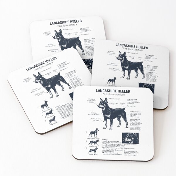 Item preview, Lancashire Heeler Scientific Anatomy Biology Dog Lover designed and sold by dian-rody-crest.