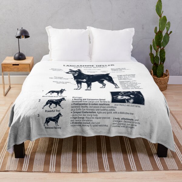 Item preview, Lancashire Heeler Scientific Anatomy Biology Dog Lover designed and sold by dian-rody-crest.