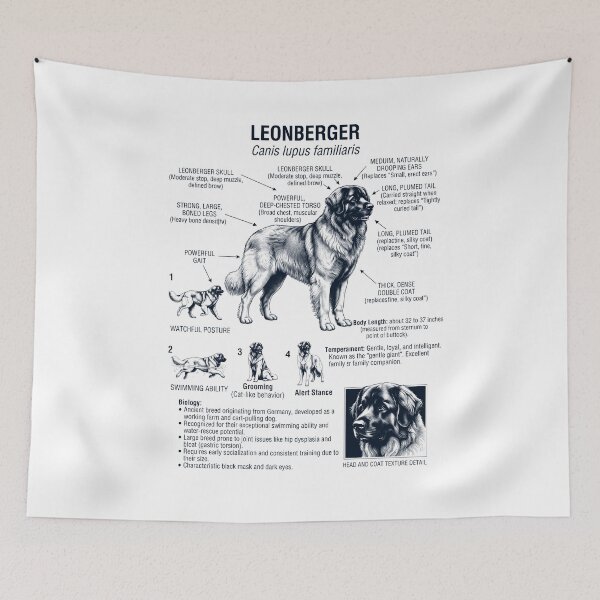 Item preview, Leonberger Scientific Anatomy Biology Dog Lover designed and sold by dian-rody-crest.