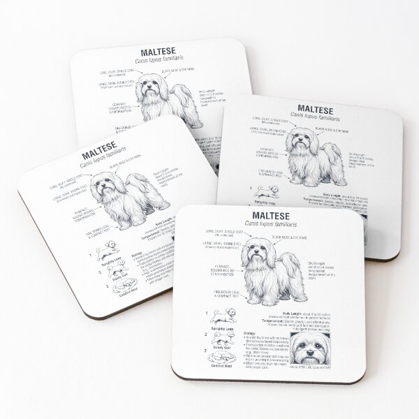 Item preview, Maltese Scientific Anatomy Biology Dog Lover designed and sold by dian-rody-crest.