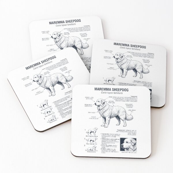 Item preview, Maremma Sheepdog Scientific Anatomy Biology Dog Lover designed and sold by dian-rody-crest.