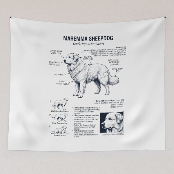 Item preview, Maremma Sheepdog Scientific Anatomy Biology Dog Lover designed and sold by dian-rody-crest.