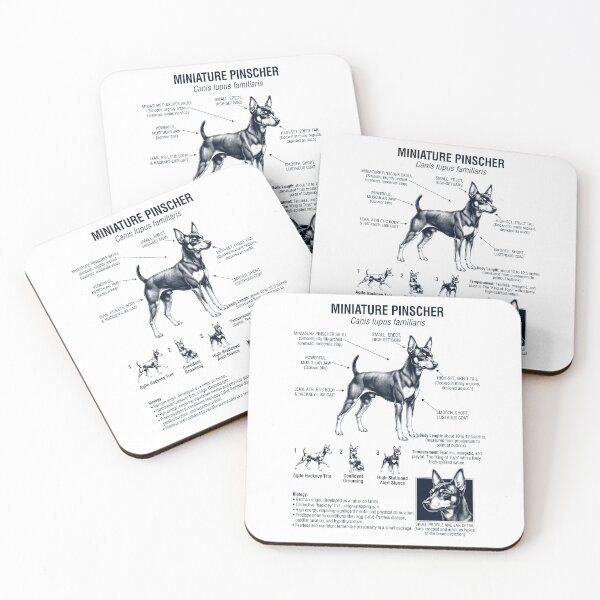 Item preview, Miniature Pinscher Scientific Anatomy Biology Dog Lover designed and sold by dian-rody-crest.
