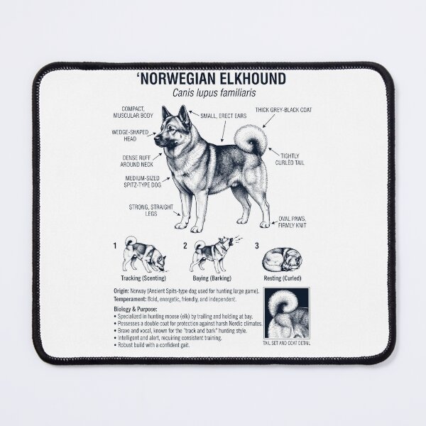 Item preview, Norwegian Elkhound Scientific Anatomy Biology Dog Lover designed and sold by dian-rody-crest.