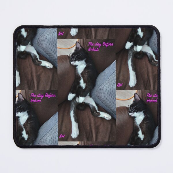 Item preview, Catnip Huge Problem in kitty college designed and sold by Harold122Jade.