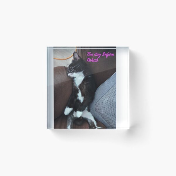 Item preview, Catnip Huge Problem in kitty college designed and sold by Harold122Jade.