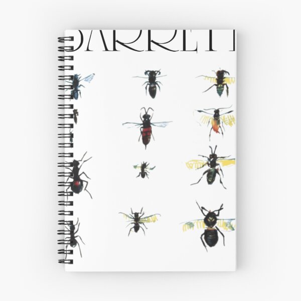 Item preview, Syd Barrett Album designed and sold by MaryMckinney1.