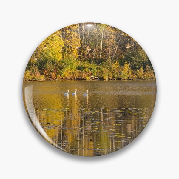 Item preview, Swans and Geese designed and sold by LainaCoopPhotos.