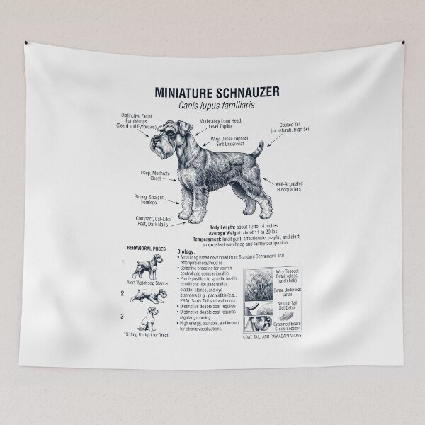 Aperçu de l'œuvre Schnauzer nain Anatomie scientifique Biologie Amoureux des chiens créée et vendue par dian-rody-crest.