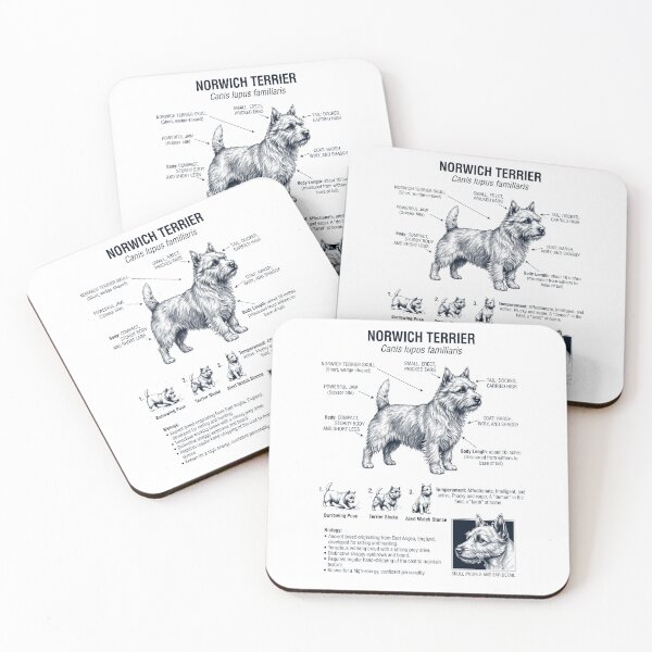 Item preview, Norwich Terrier Scientific Anatomy Biology Dog Lover designed and sold by dian-rody-crest.