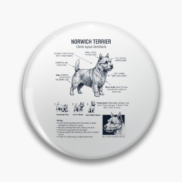 Item preview, Norwich Terrier Scientific Anatomy Biology Dog Lover designed and sold by dian-rody-crest.